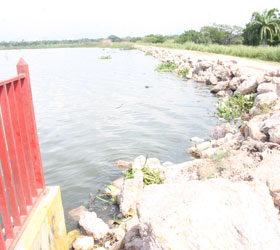Vecinos de Mata Redonda piden que se decrete estado de emergencia en el Lago